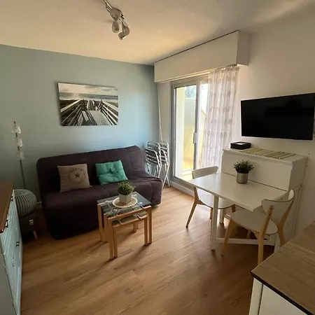 Apartment Des Marronniers *